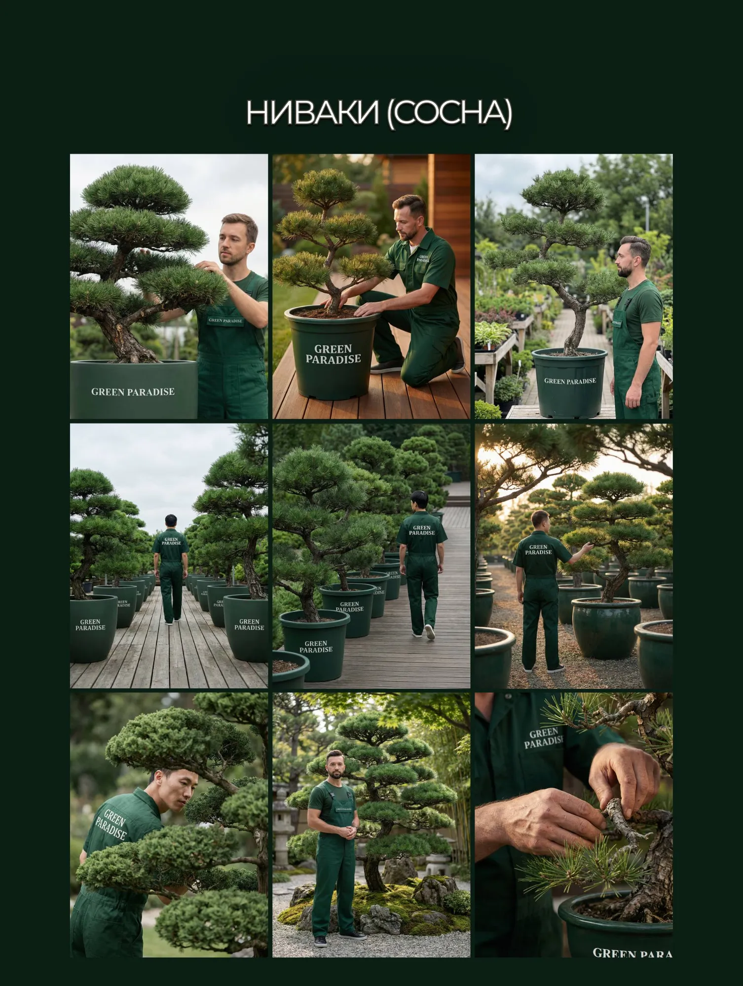 ИИ-кадры Green Paradise, серия 2